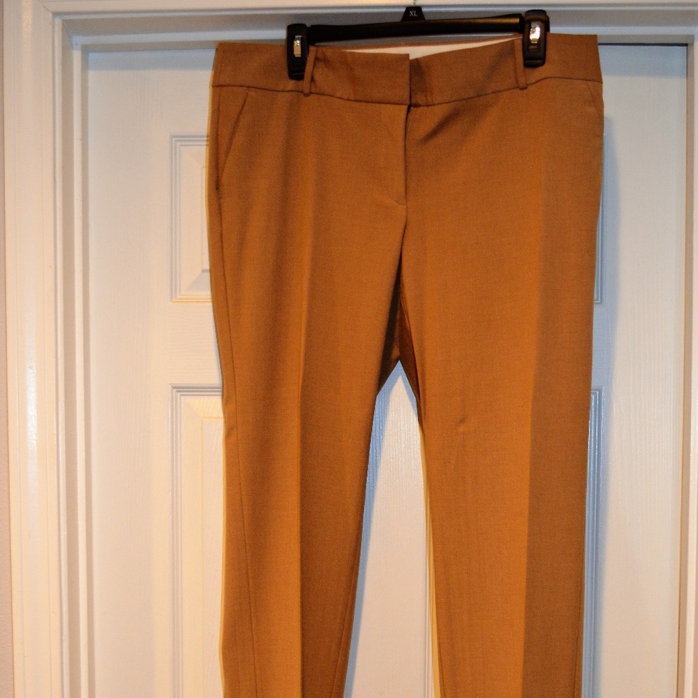 Ann Taylor Loft in Women